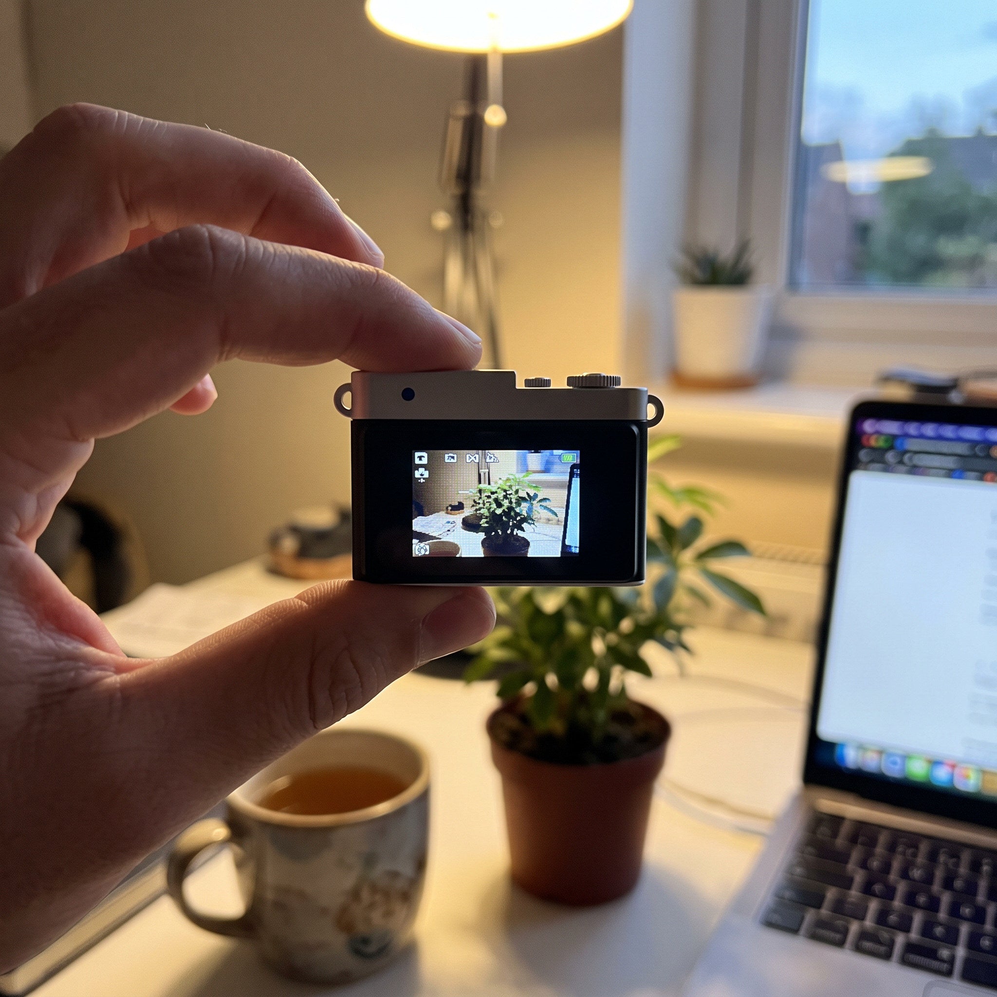 Owner view of the rear screen on a Little Snap camera